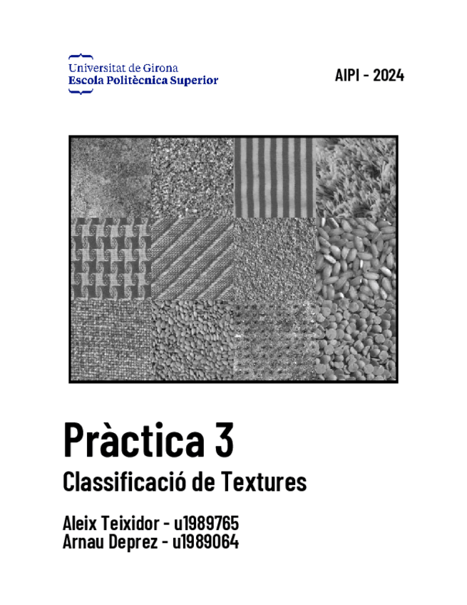 Miniatura del documento Practica3AIPItextures.pdf