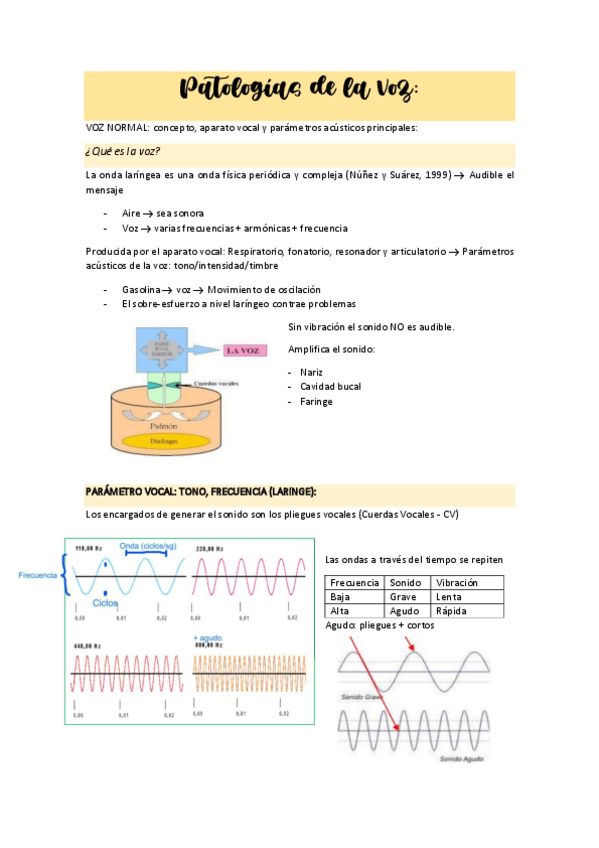 Miniatura del documento PATOLOGIASVOZ.pdf