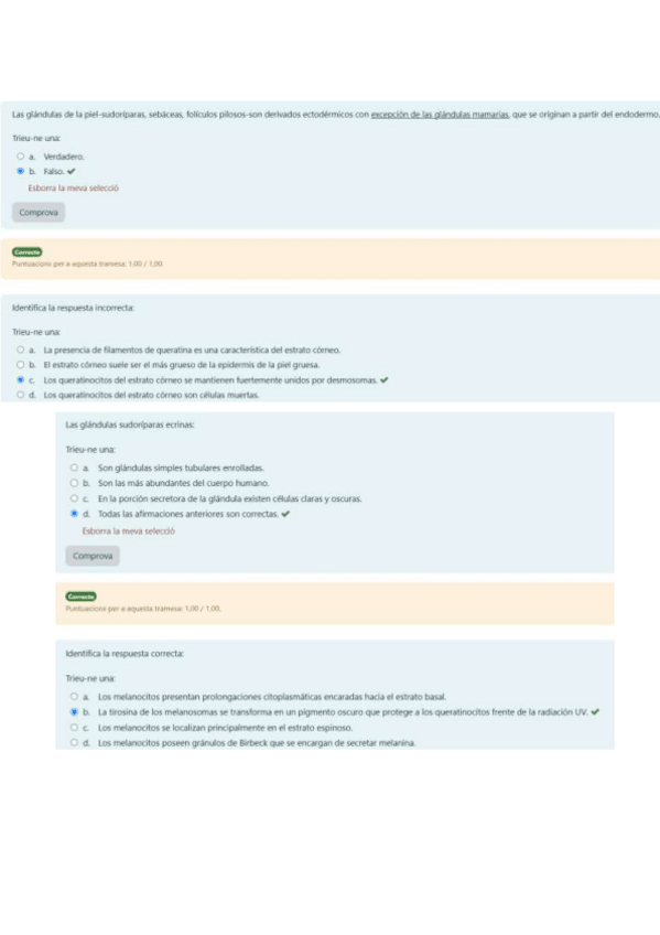 Miniatura del documento Cuestionario-Piel-sol.pdf
