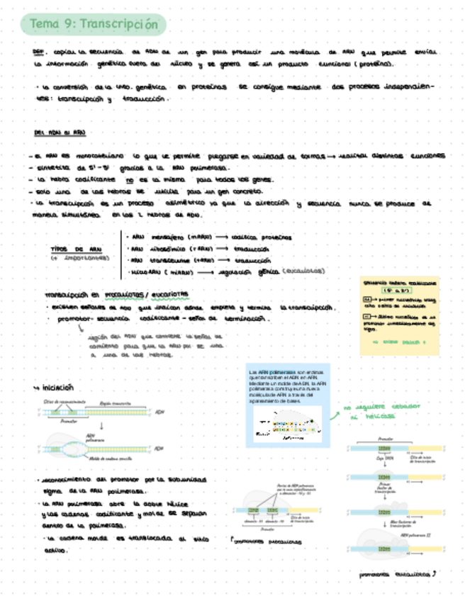 Miniatura del documento tema-12139.pdf