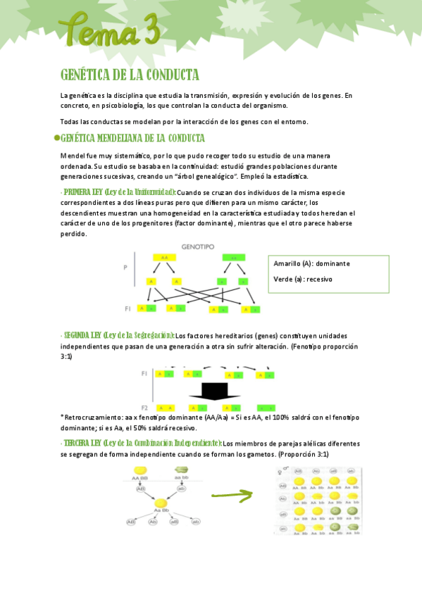 Miniatura del documento TEMA-3-FPB.pdf