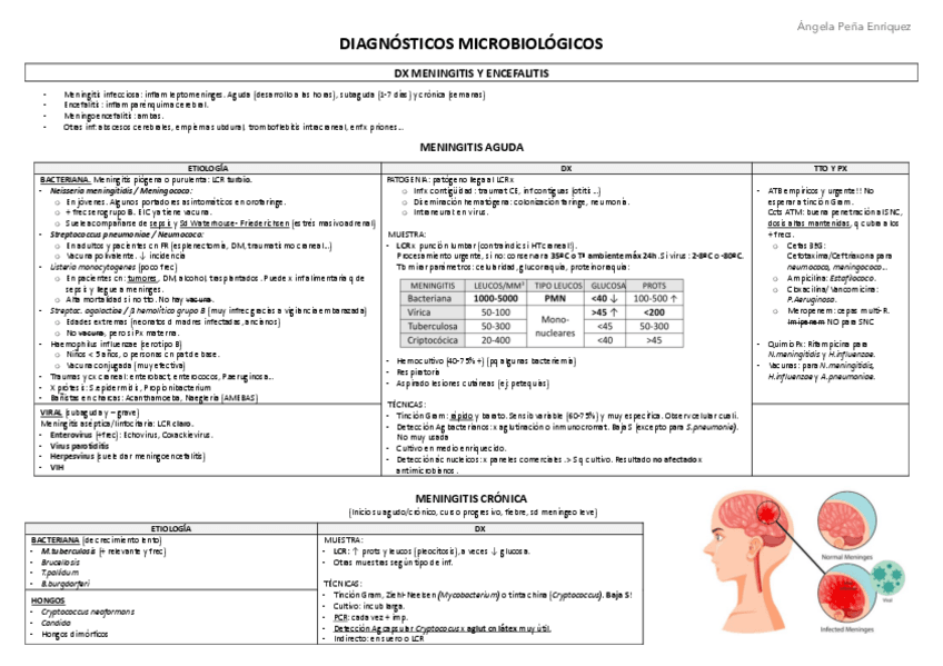 Miniatura del documento Tablas-DIAGNOSTICOS-MICROBIOLOGICOS.pdf