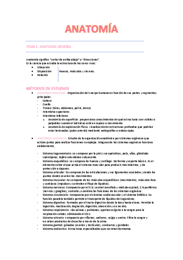 Miniatura del documento ANATOMIA-T1-T4.pdf