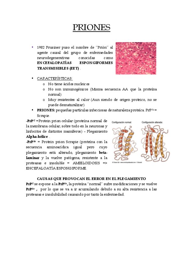 Miniatura del documento PRIONES RESUMEN (4ºPARCIAL).pdf