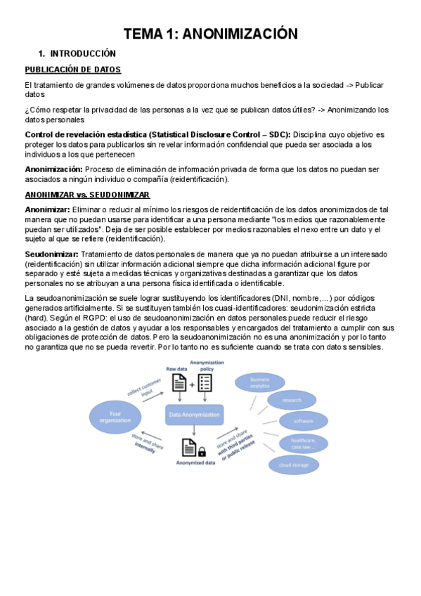 Miniatura del documento 1.-Anonimizacion.pdf
