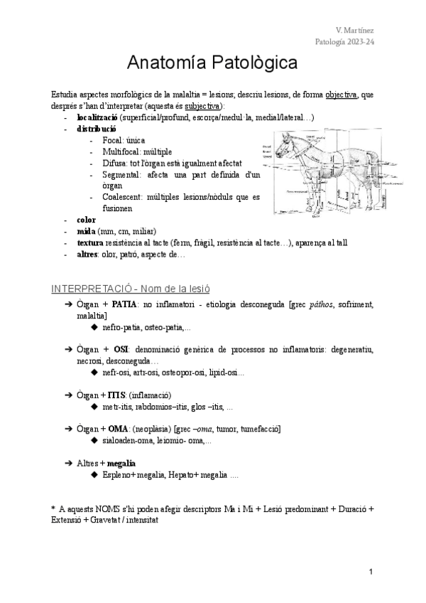 Miniatura del documento 1er-parcial-Patologia.pdf