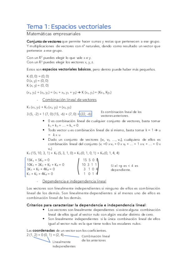 Miniatura del documento Tema-1.pdf