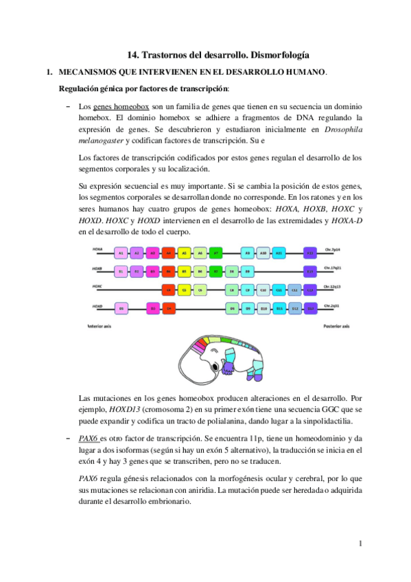 Miniatura del documento 14.-Trastornos-del-desarrollo.pdf