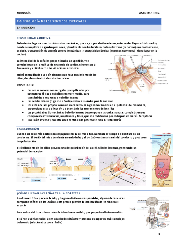 Miniatura del documento apuntes-tema-5-SENTIDOS.pdf