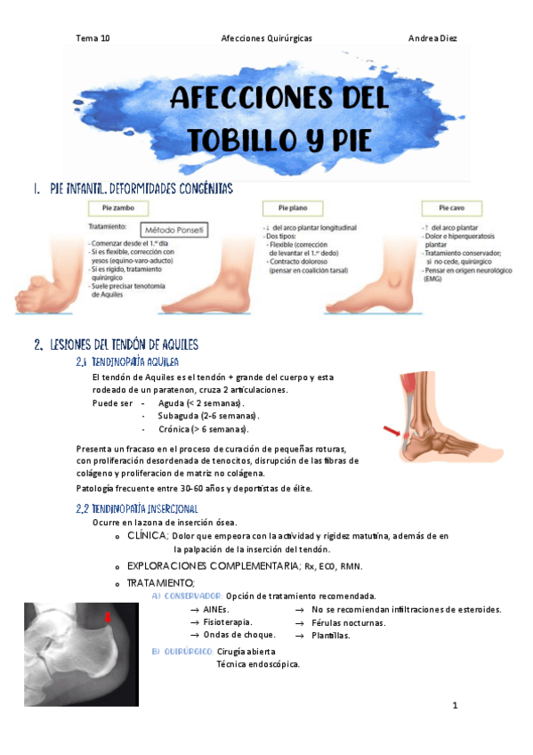 Miniatura del documento Tema-10-Afecciones-del-tobillo-y-pie.pdf