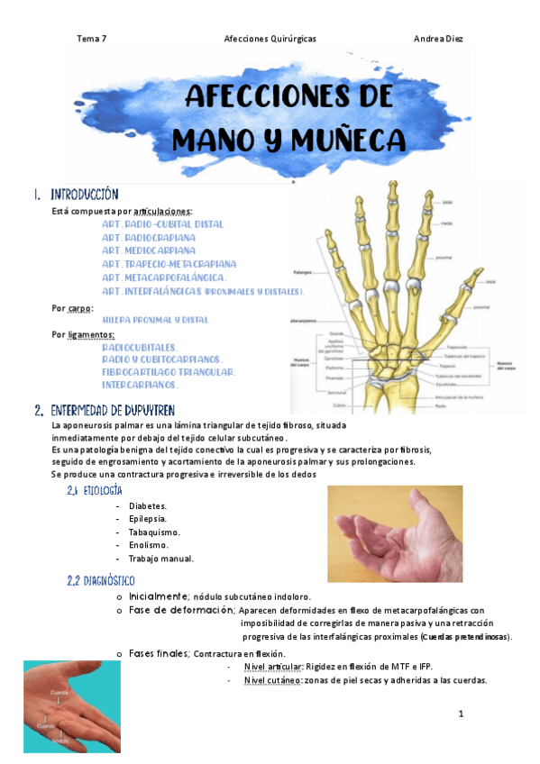 Miniatura del documento Tema-7-Afecciones-de-mano-y-muneca.pdf