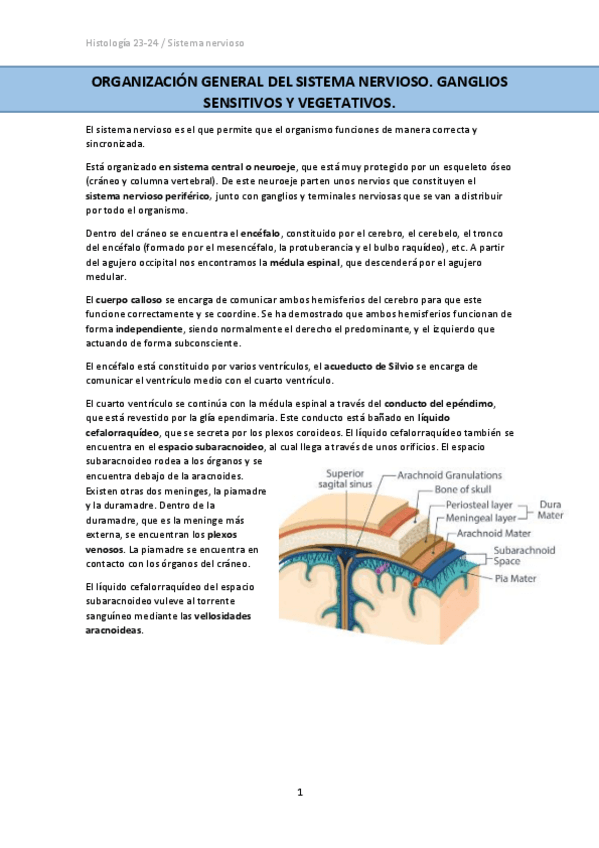Miniatura del documento ORGANIZACION-GENERAL-DEL-SISTEMA-NERVIOSO.pdf