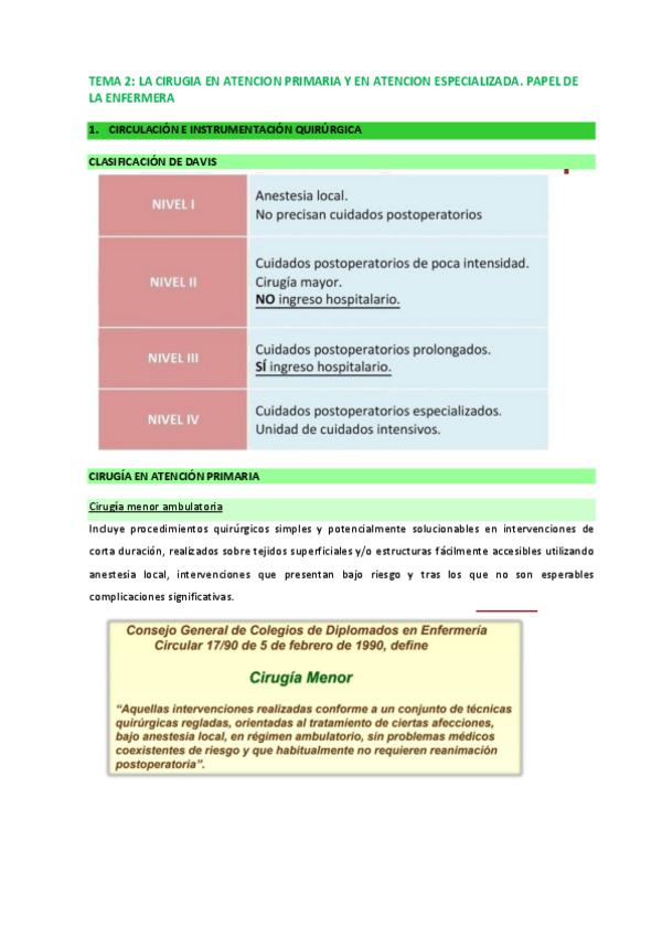 Miniatura del documento TEMA-2-CUIDADOS-QX.pdf