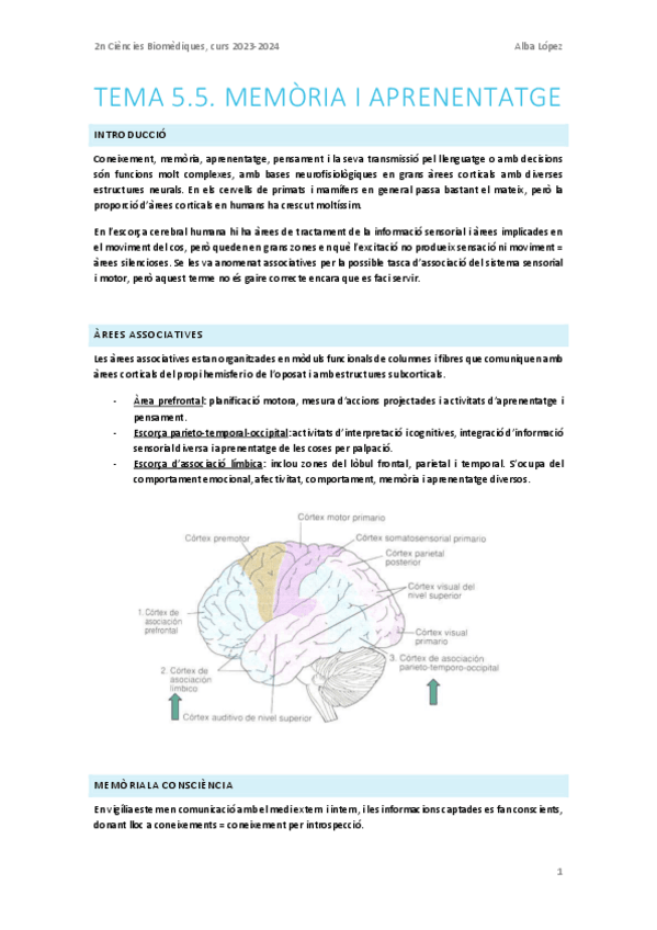 Miniatura del documento Tema-5.5.-Memoria-i-aprenentatge.pdf