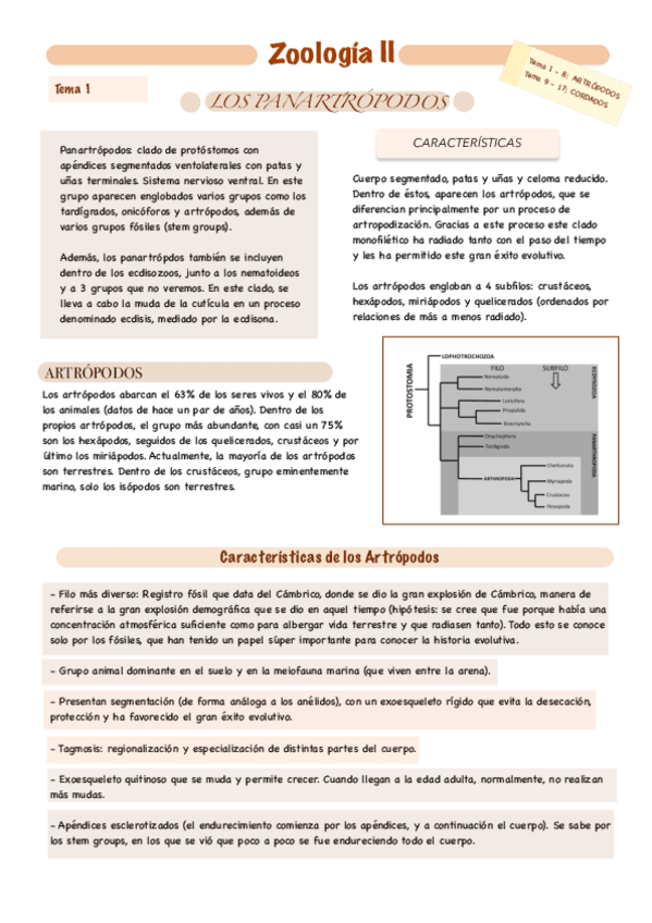 Miniatura del documento Zoologia-2-Apuntes-Invertebrados-TEMA-1-12-SOLO.pdf