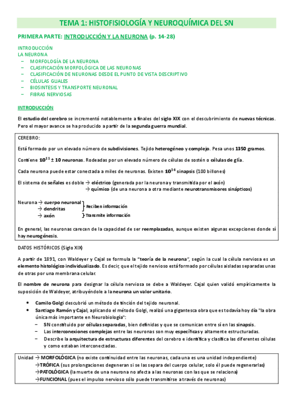 Miniatura del documento COMPLETO-Tema-1-Histofisiologia-y-neuroquimica-del-SN.pdf