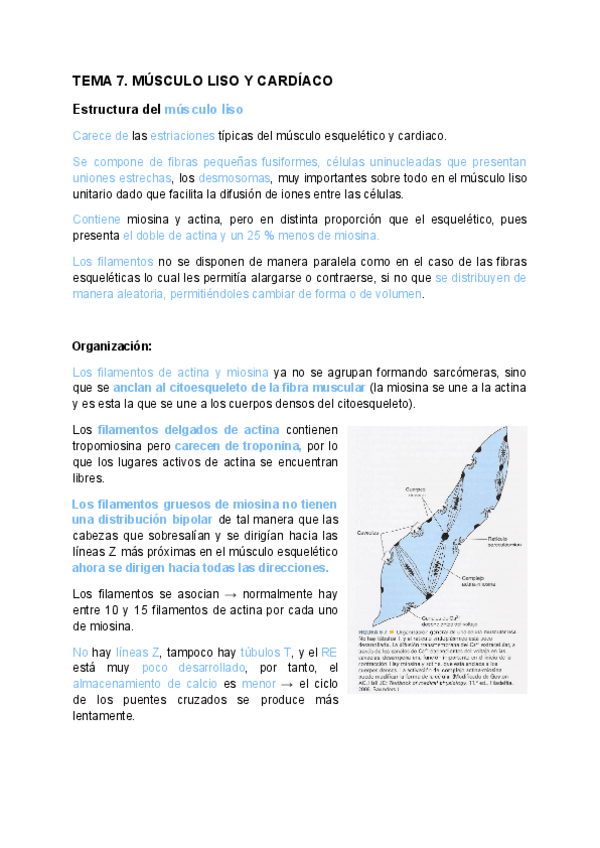 Miniatura del documento TEMA-7.pdf