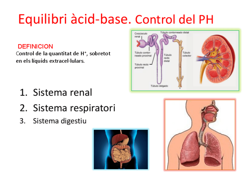 Miniatura del documento 7.3.tema.-EQUILIBRIOS.pdf