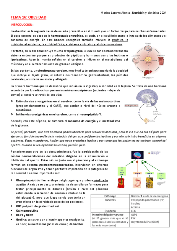 Miniatura del documento TEMA-16-obesidad.pdf