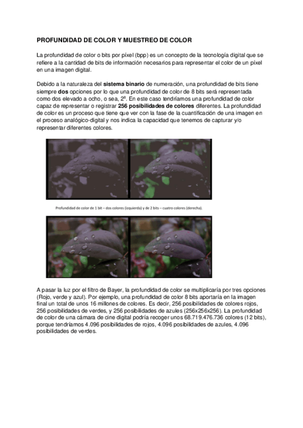 Miniatura del documento TEMA-7-PROFUNDIDAD-DE-COLOR.pdf