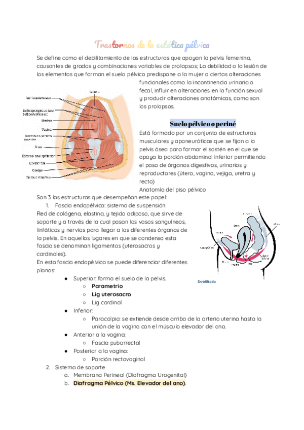 Miniatura del documento Trastornos-de-la-Estatica-pelvica.pdf