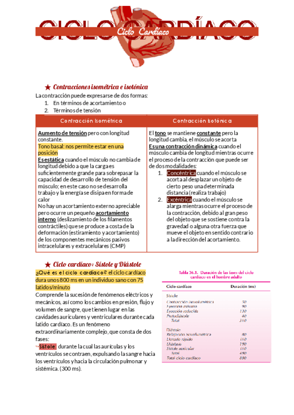 Miniatura del documento Ciclo-cardiaco.pdf