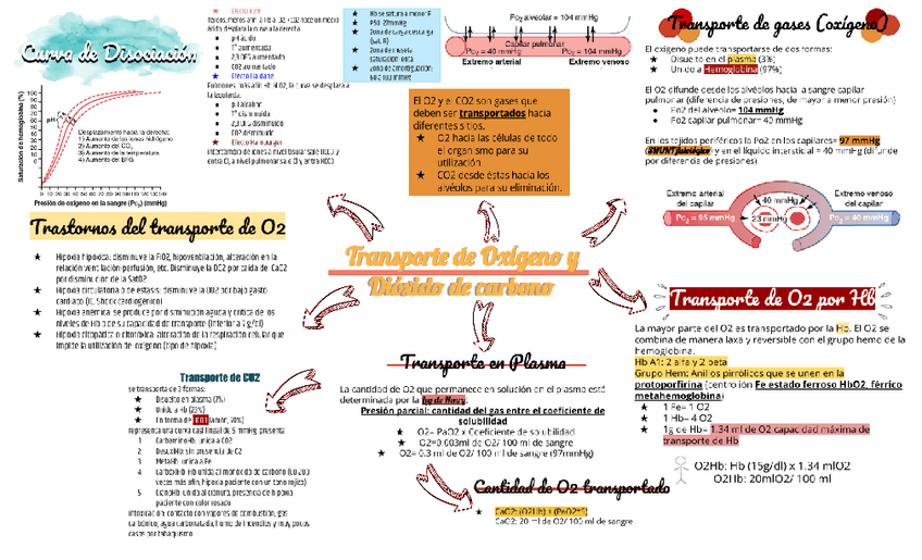 Miniatura del documento Trasporte-mapa.pdf