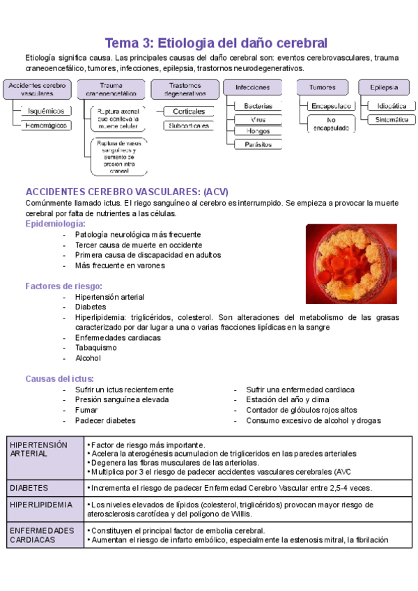 Miniatura del documento Apuntes-neuropsicologia-TEMA-3.pdf
