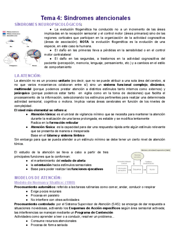 Miniatura del documento Apuntes-neuropsicologia-TEMA-4.pdf