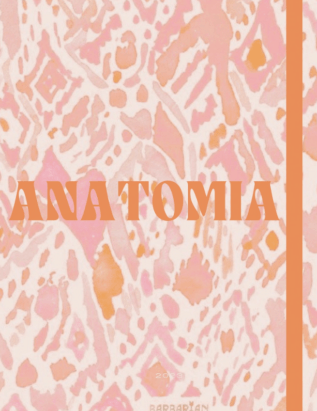 Miniatura del documento TEMA-1.pdf