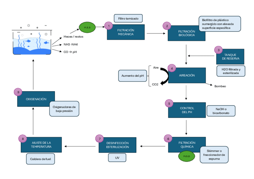 Miniatura del documento CICLO-CERRADO.pdf