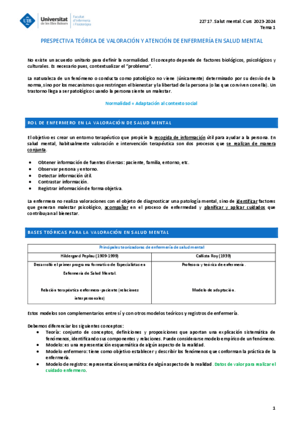 Miniatura del documento SALUT-MENTAL-TEMA-1.pdf