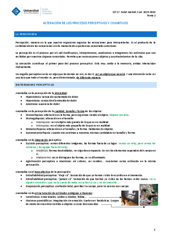 Miniatura del documento SALUT-MENTAL-TEMA-2.pdf