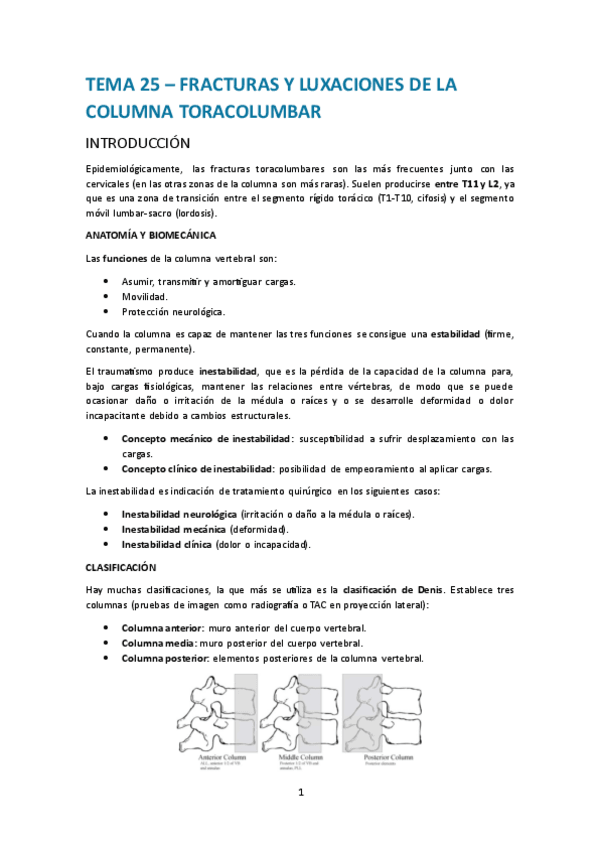 Miniatura del documento Tema-25.-Fracturas-y-luxaciones-de-la-columna-toracolumbar.pdf