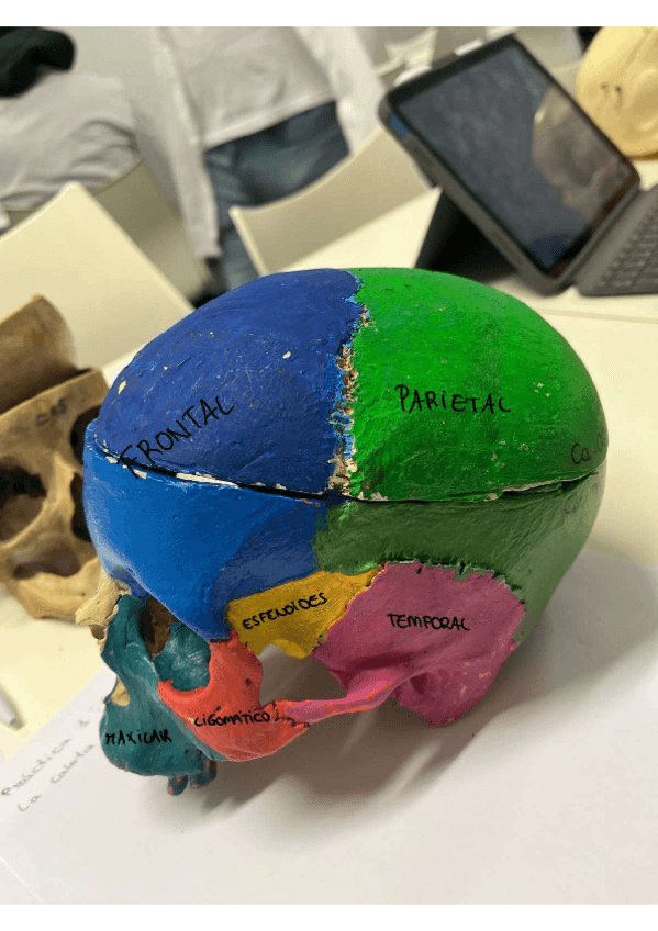 Miniatura del documento Imagenes-practica-1.pdf