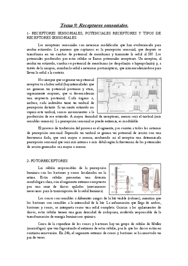 Miniatura del documento Tema-9-Neuroquimica.pdf