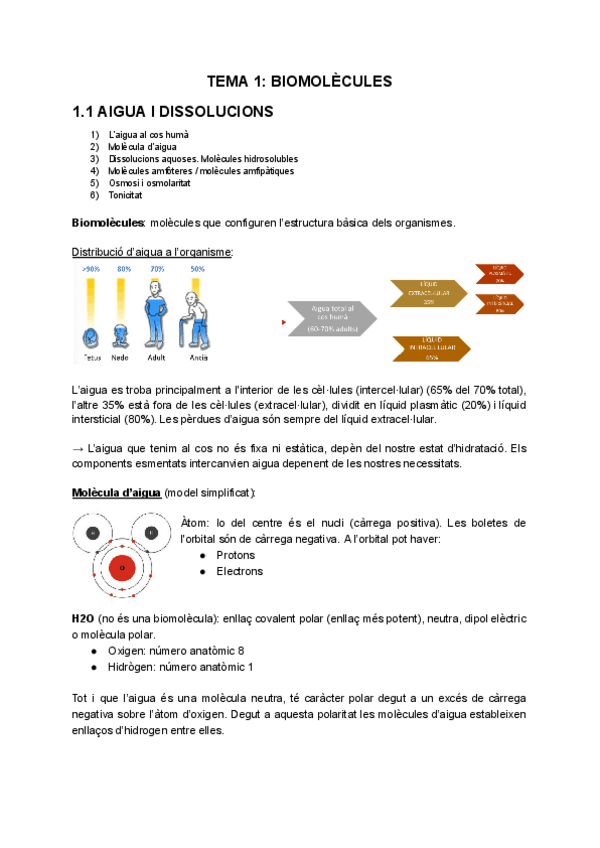 Miniatura del documento Apunts-complets-bioquimica-i-nutricio.pdf