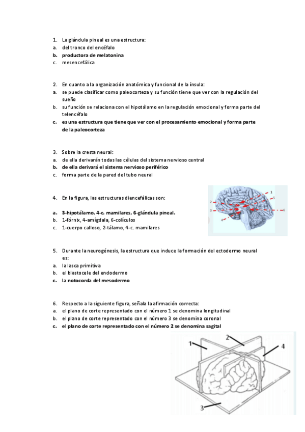 Miniatura del documento parcial-psicobiologia-II.pdf