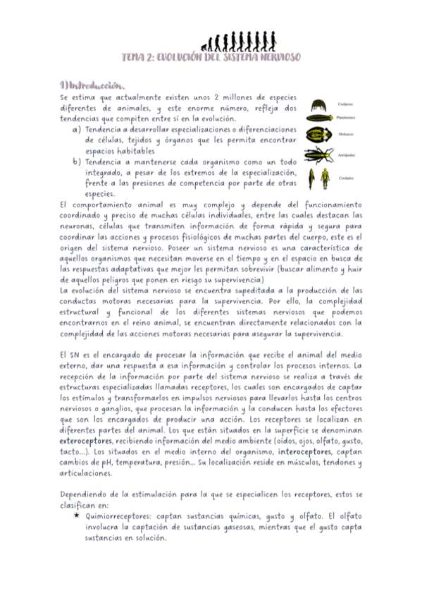Miniatura del documento tema-2-neuro.pdf
