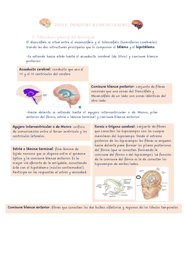 Miniatura del documento TEMA-6-NEURO.pdf
