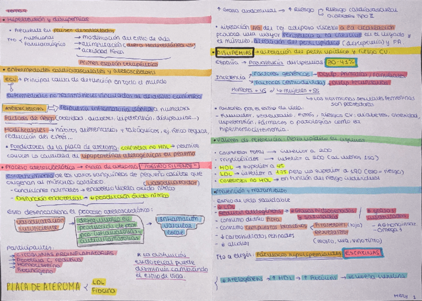 Miniatura del documento Hipertension-y-dislipemias-mery-esquemitas.pdf