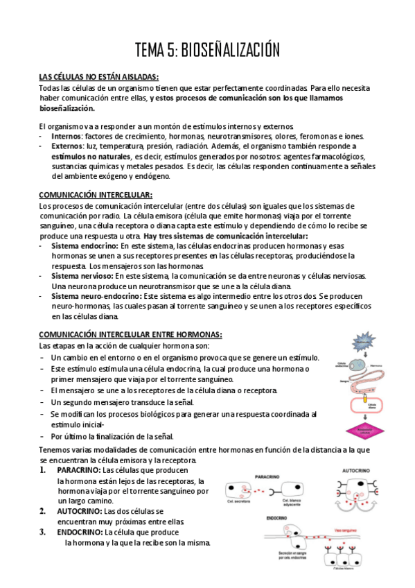 Miniatura del documento TEMA-5.pdf