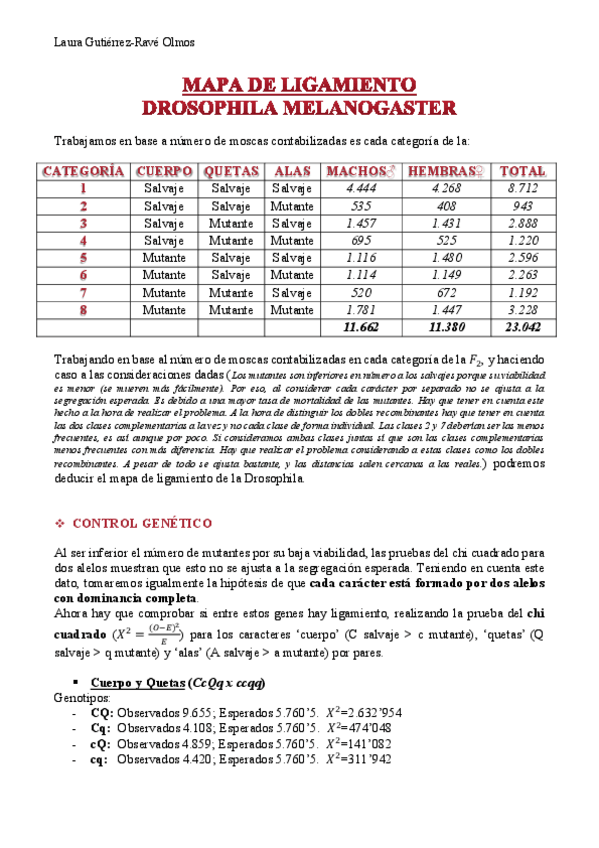 Miniatura del documento Mapa Ligamiento Drosophila Laura Gutiérrez PDF.pdf