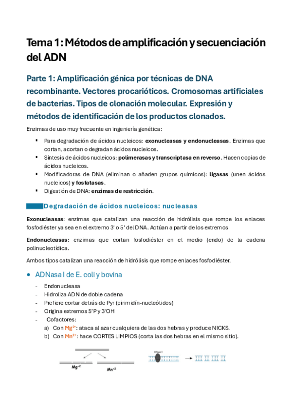 Miniatura del documento Temario-completo-Ingenieria-genetica.pdf