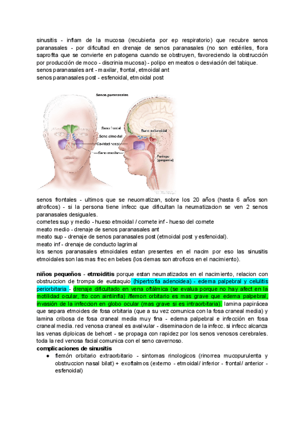 Miniatura del documento tema-2-sinusitis-agudas-y-cronicas.pdf