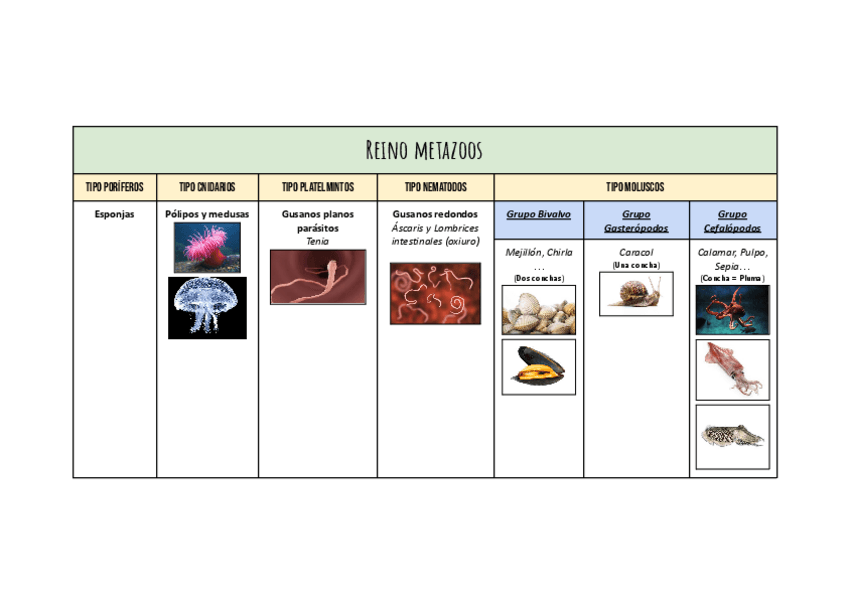 Miniatura del documento Tabla-seres-vivos-resumen.pdf
