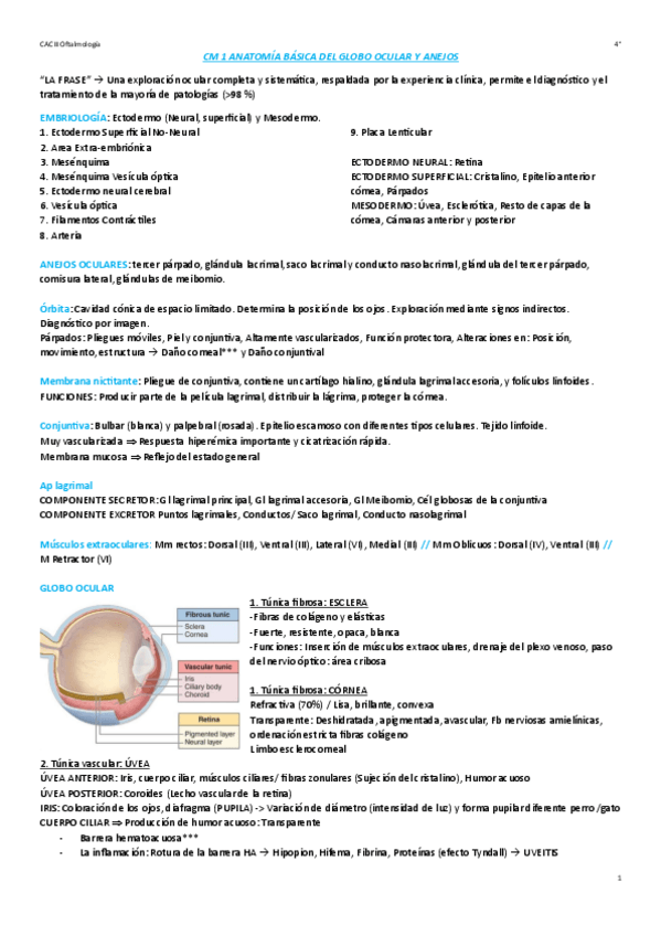 Miniatura del documento Apuntes-CM-oftalmologia.pdf