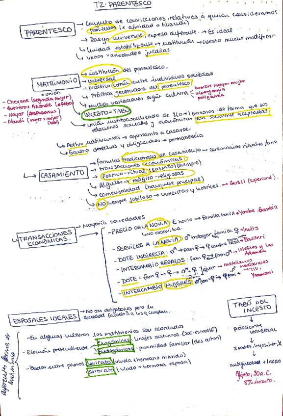 Miniatura del documento TEMA-2-ESQUEMA.pdf