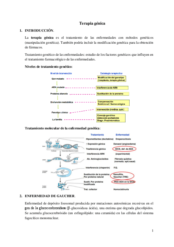 Miniatura del documento Terapia-genica.pdf