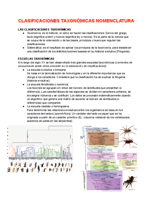 Miniatura del documento TEMA 1.2 (Zoología).pdf